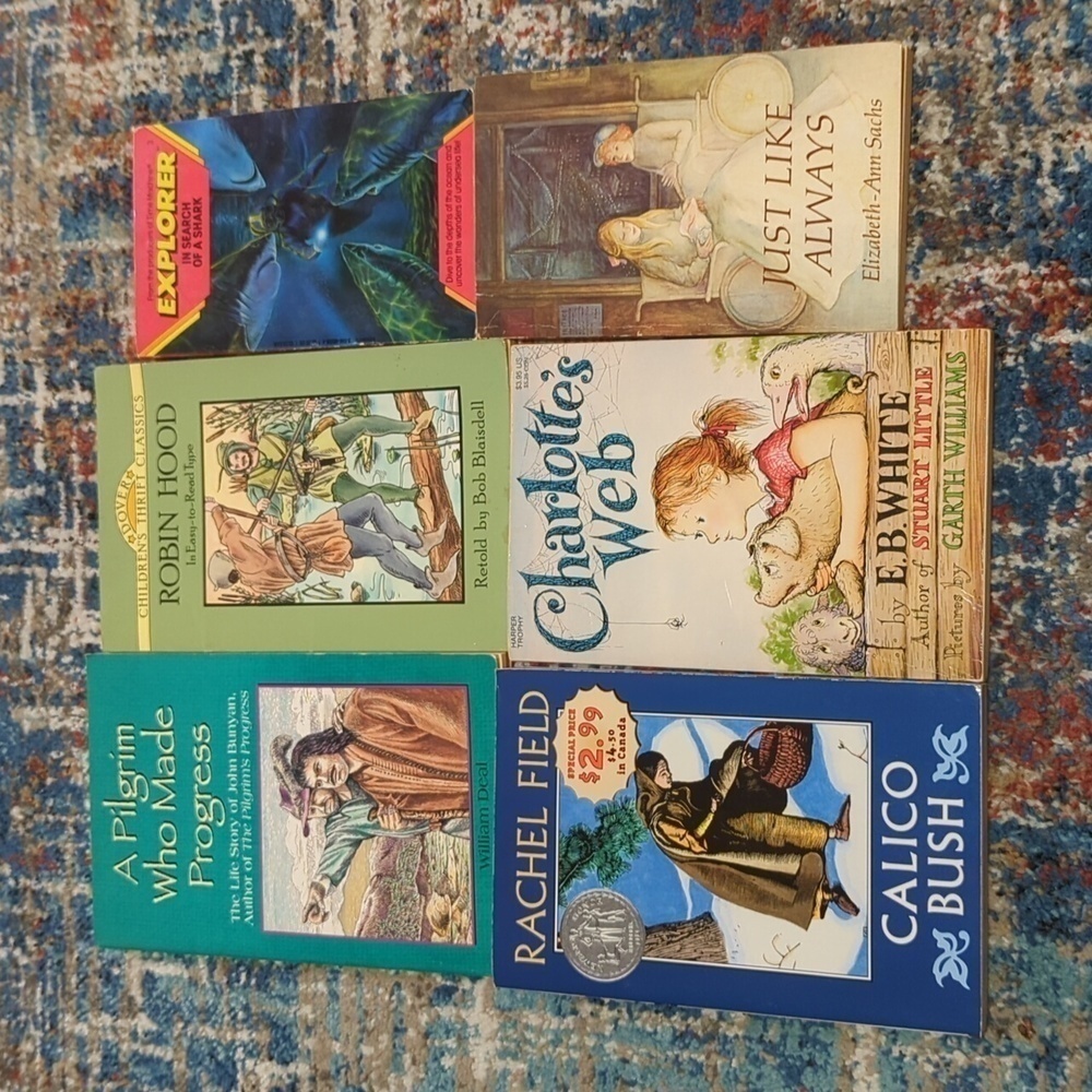 Multi-Titles Children's Literature Pack of 6 Paperback Novels - Used